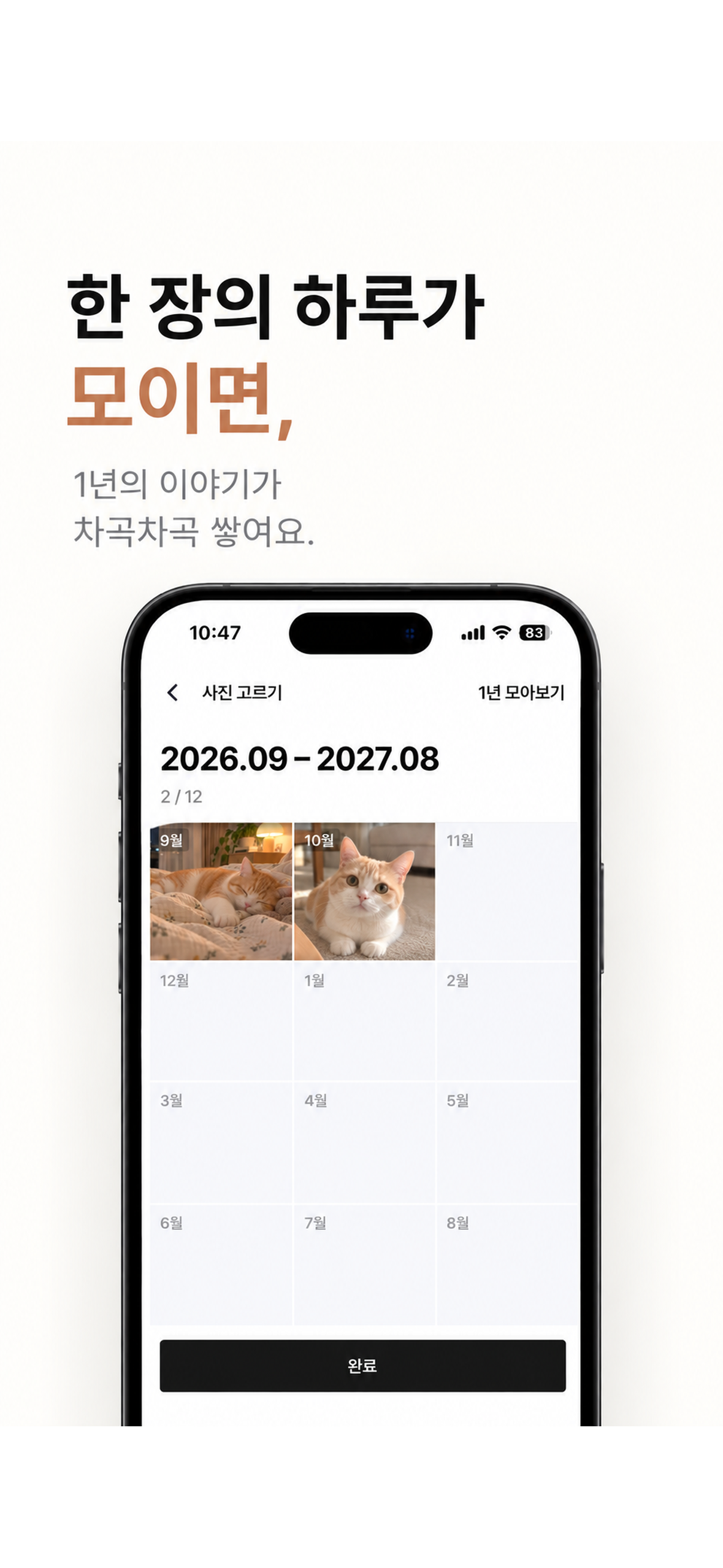 한 장 앱의 1년 모아보기 화면