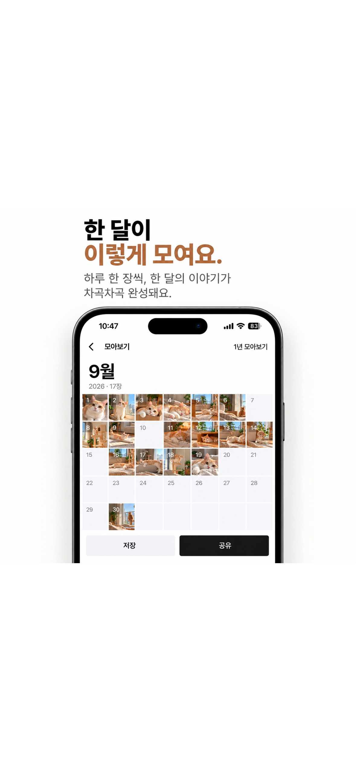 한 장 앱의 월간 모아보기 저장·공유 화면