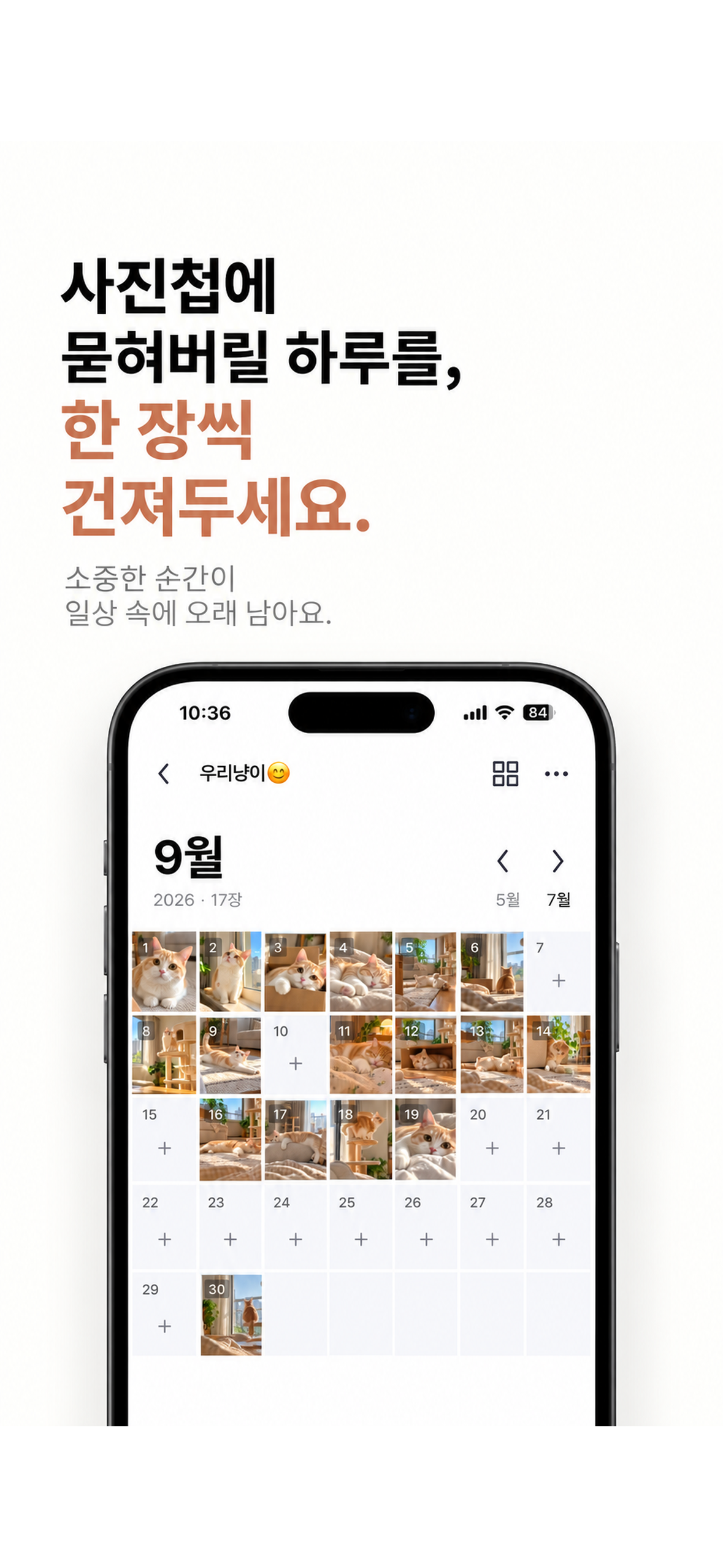 한 장 앱의 7열 월간 사진 보드 화면