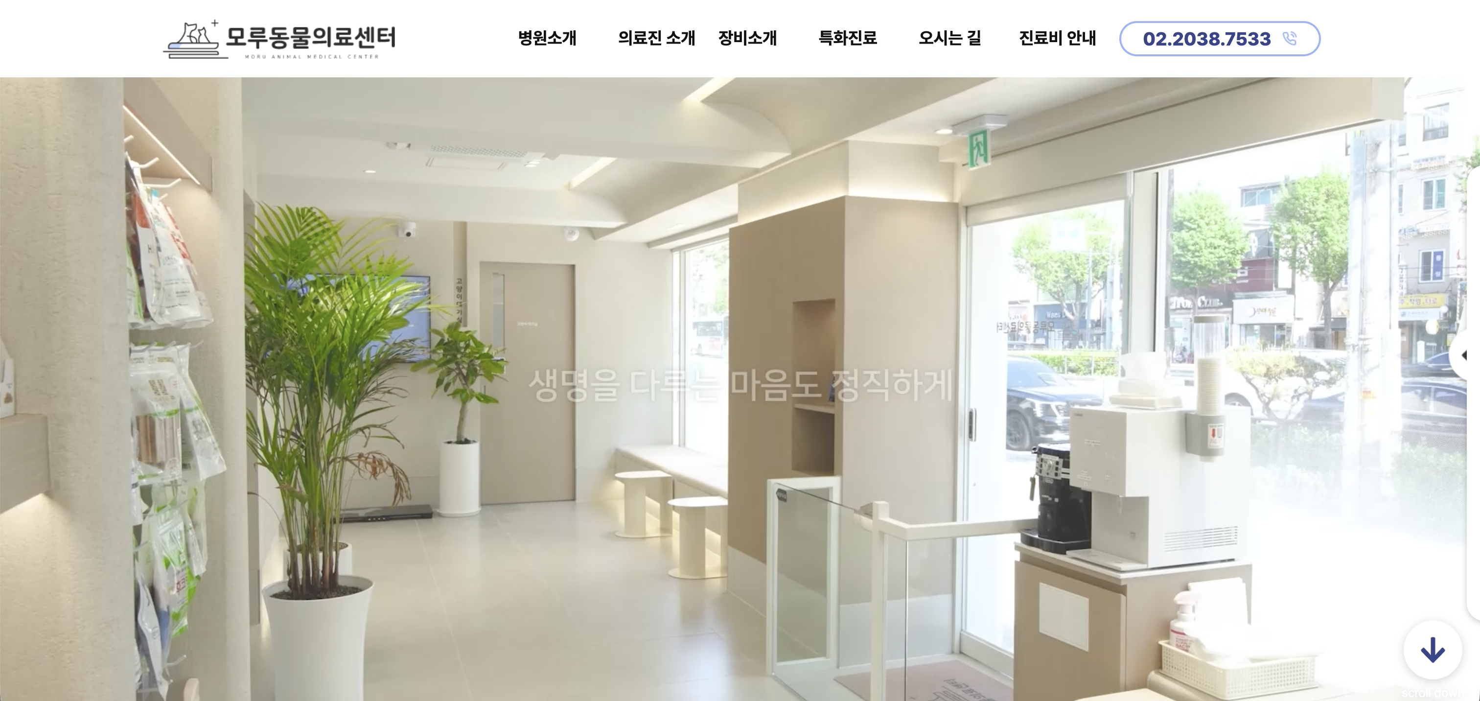 모루동물의료센터 메인